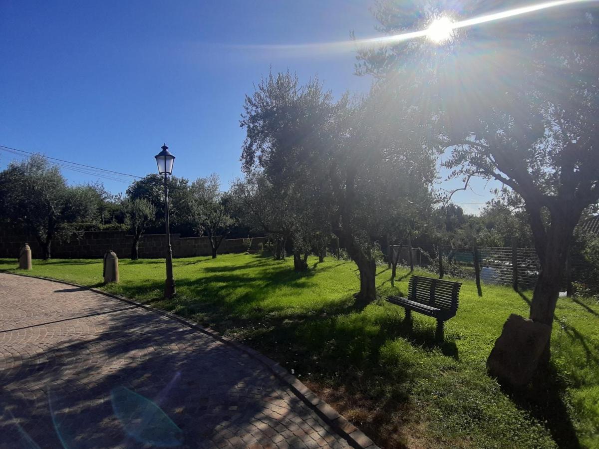 B&B Le Bacette Caprarola Zewnętrze zdjęcie