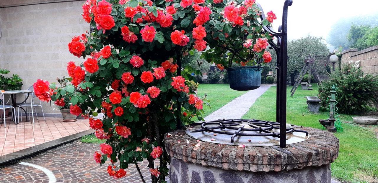 B&B Le Bacette Caprarola Zewnętrze zdjęcie